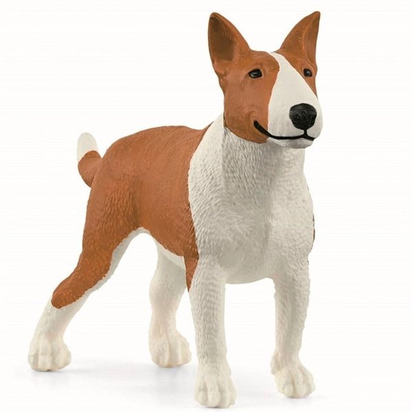 Bull terrier