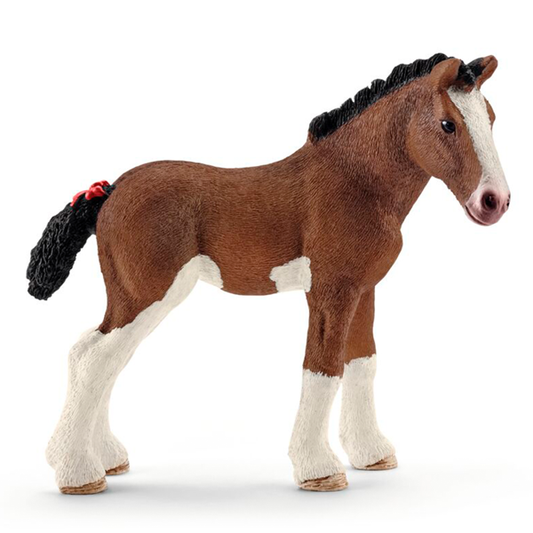 Clydesdale föl