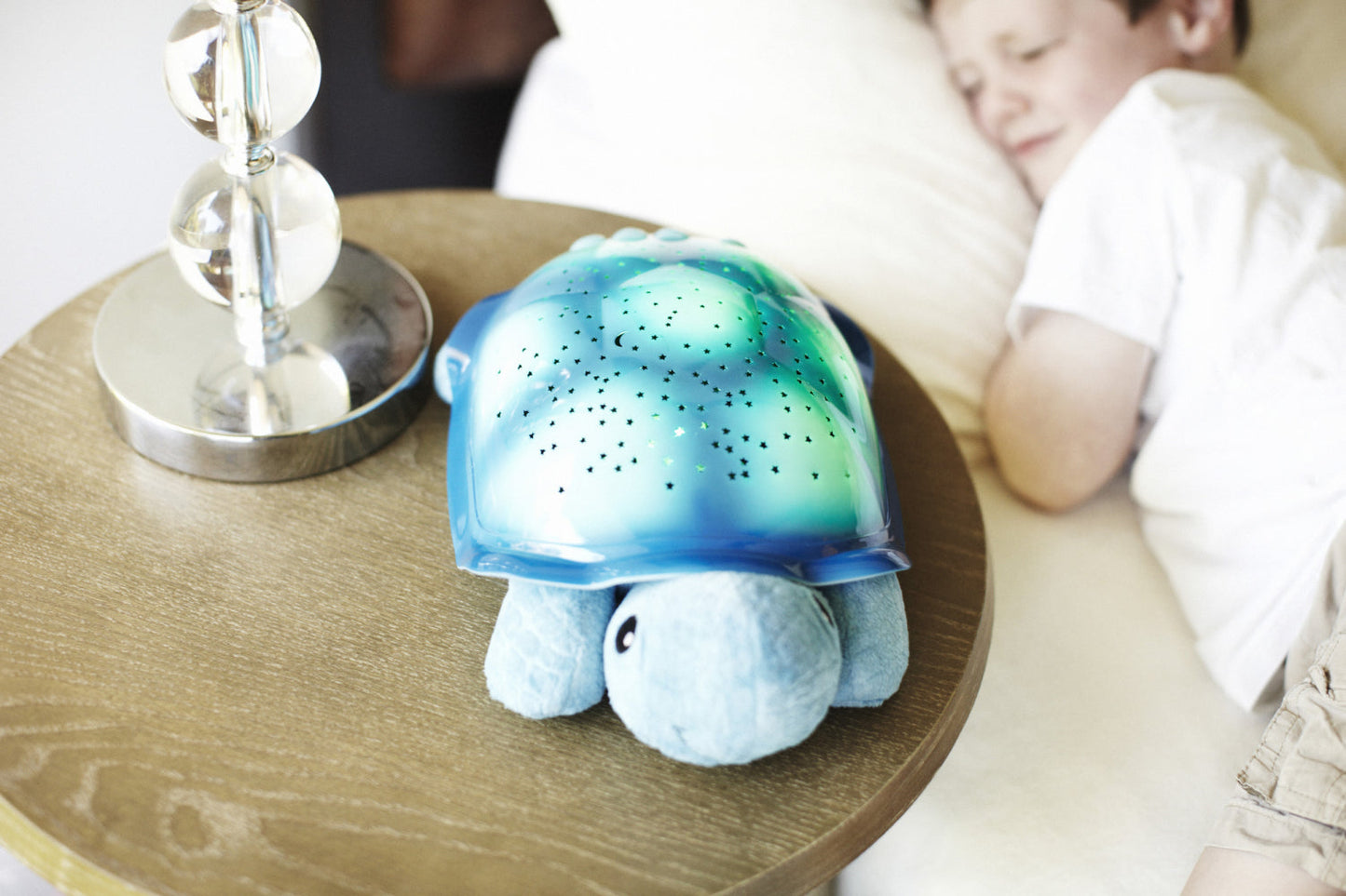 Twillight Turtle, Blue